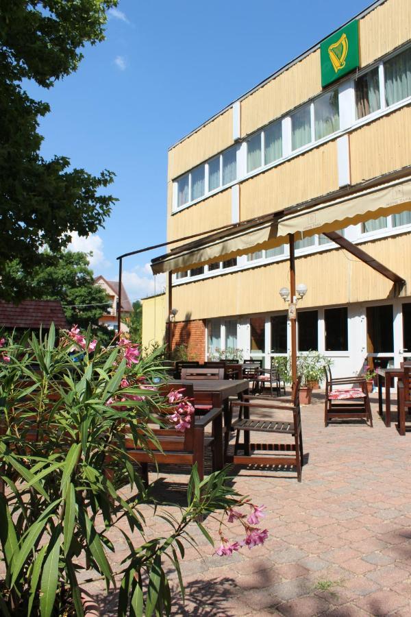 Hotel Tara Mestecǎneşti Exterior foto